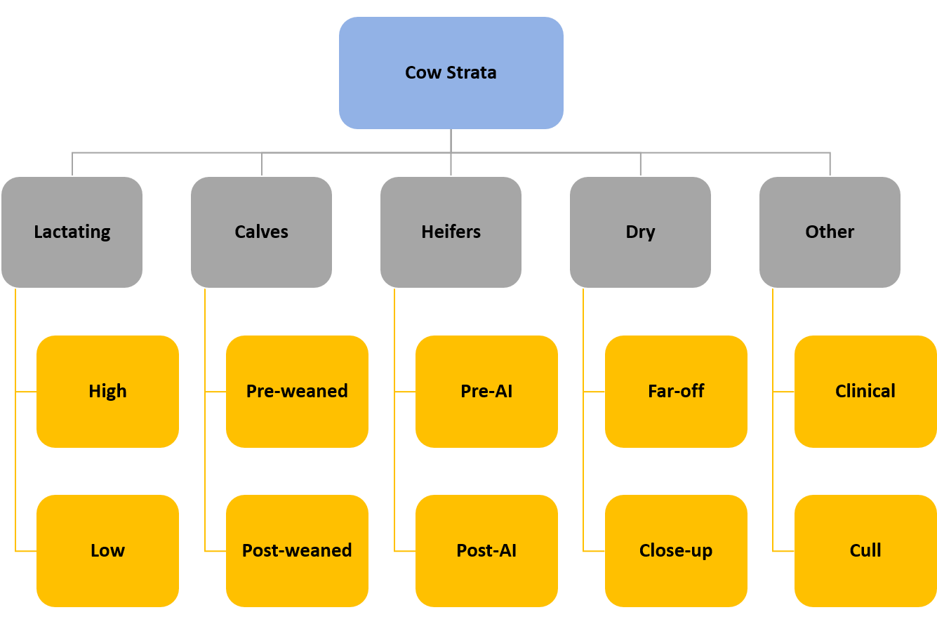 Figure 1: Stratified sampling strategy for fecal collections