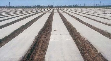 Ag fields wrapped in plastic for biosolarization