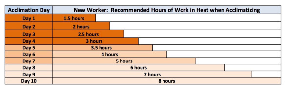New worker chart for acclimatization