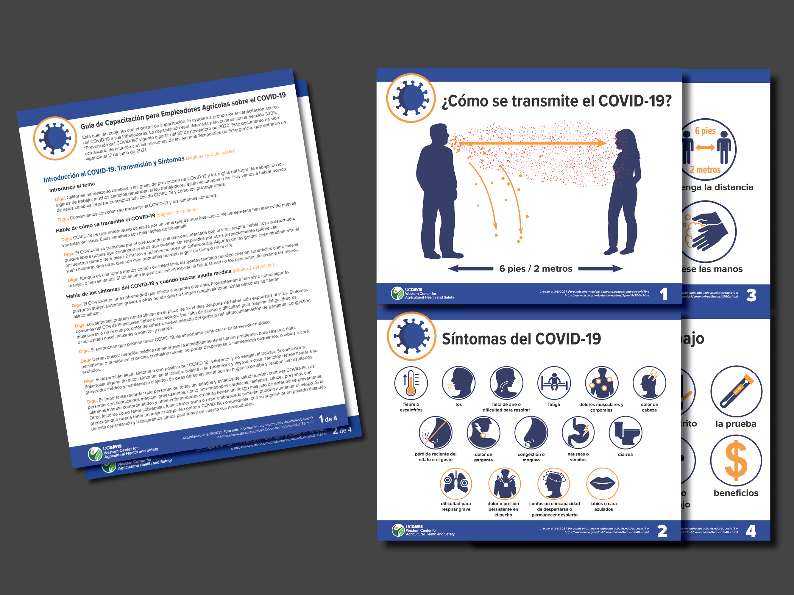 Thumbnail images of COVID-19 Employer Training Discussion Guide and Poster in Spanish