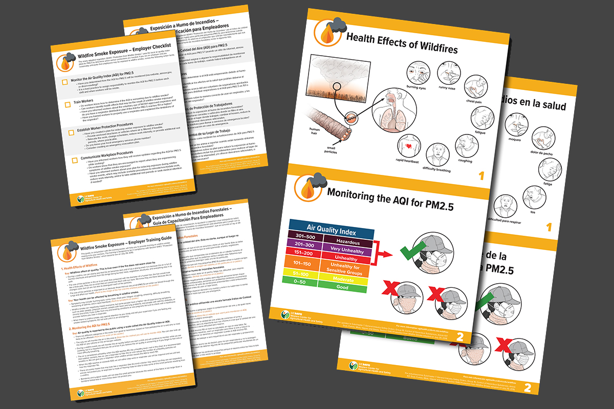 Screenshots of wildfire smoke training materials