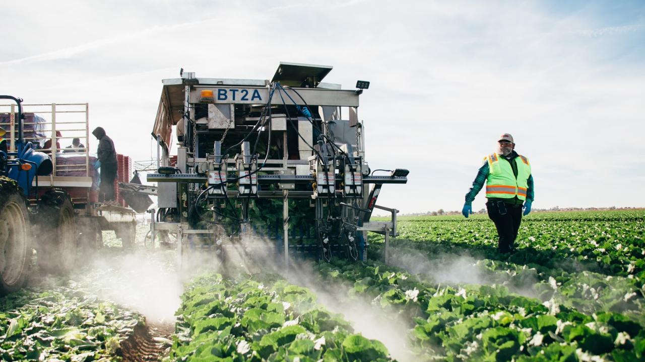 Photo credit: College of Agricultural and Environmental Sciences, UC Davis Farmworker monitors an irrigation machine in a field