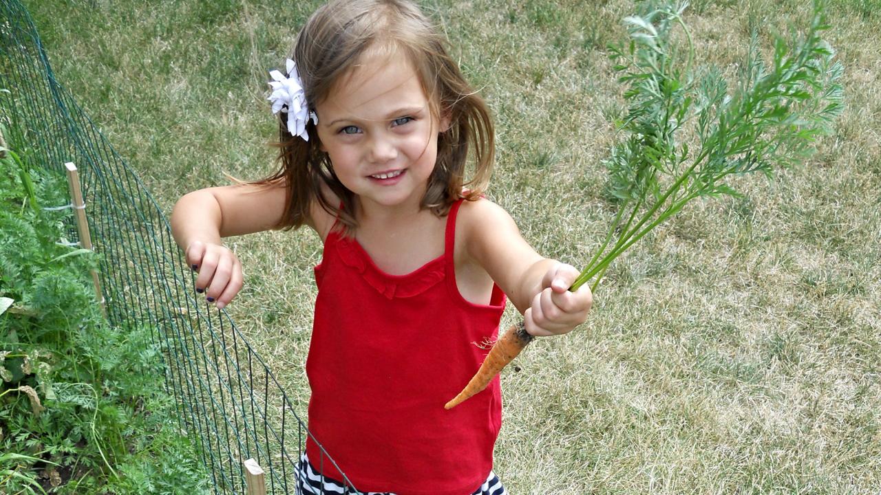 Young girl holding freshly pulled carrot