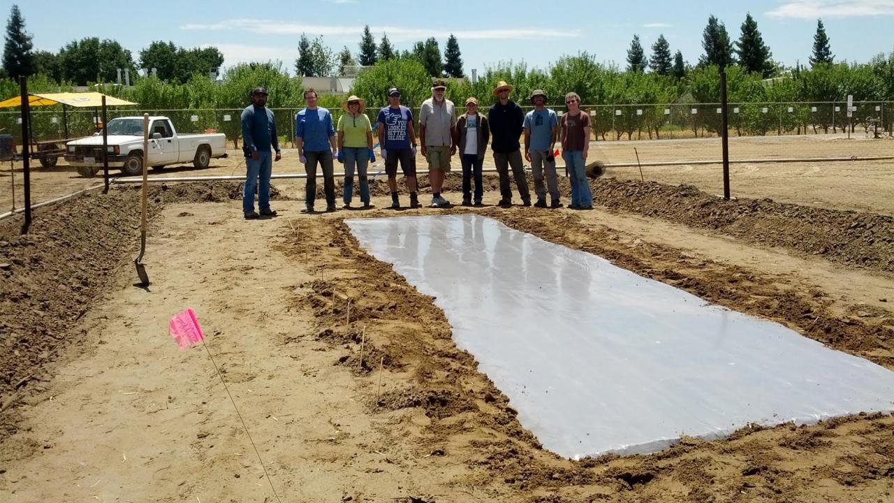 Biosolarization team in the field