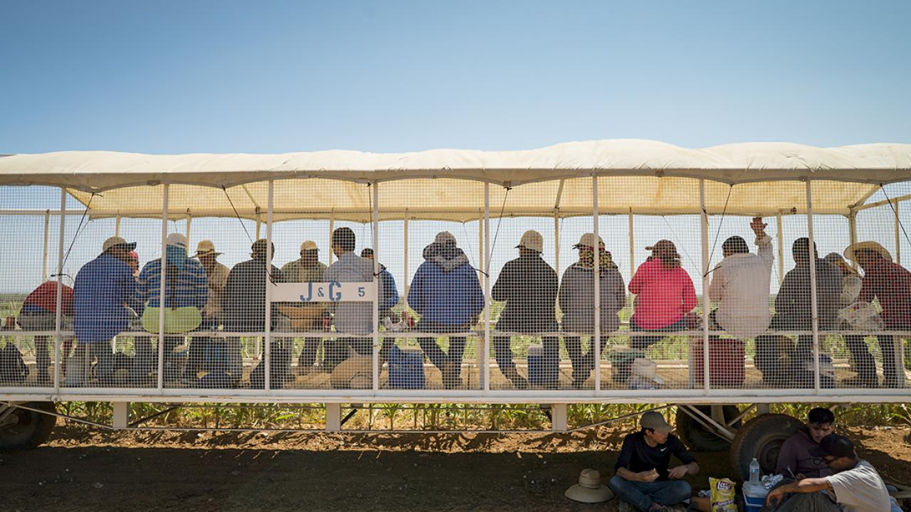 Farmworkers take a lunch break in a shade structure