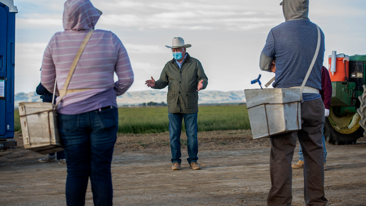 A farmer trains workers in the field