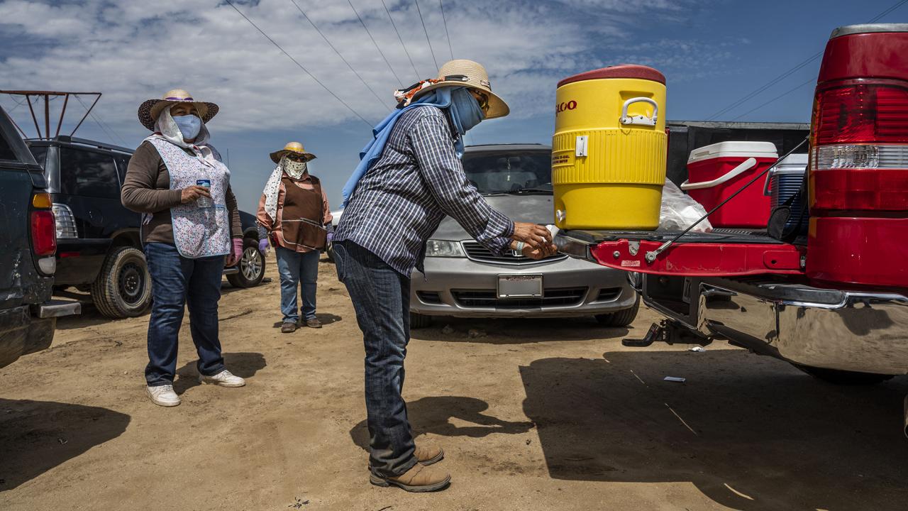 Farmworkers stand in line to get a drink of water from a cooler