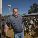 Frank Mitloehner at the UC Davis cattle barn