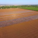 Aerial view of field with biosolarization tarps